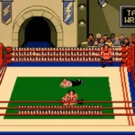 Play tag team wrestling Free Online