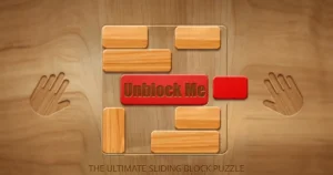 Unblock Me