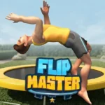 Play Flip Master Free Online
