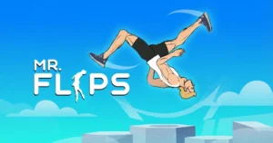 Mr Flip