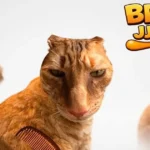 Play brush jjaemu Free Online
