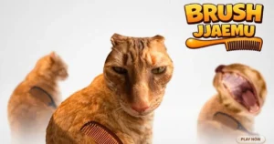 brush jjaemu